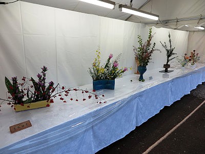 根津神社例大祭