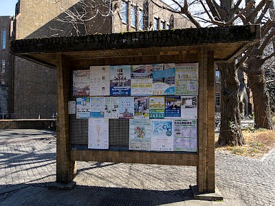 東大 弥生キャンパス