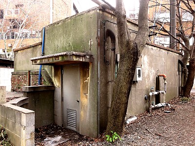 東大 弥生キャンパス