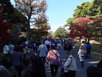 皇居乾通り 紅葉