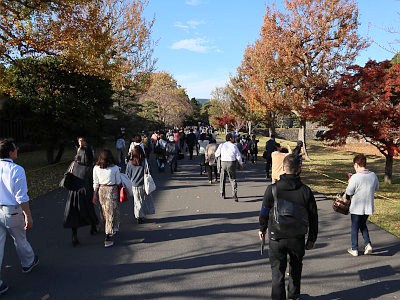 皇居乾通り 紅葉