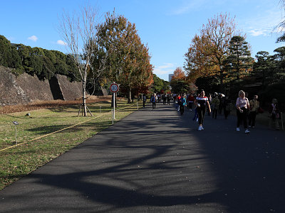皇居乾通り 紅葉