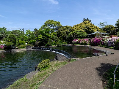 平成庭園