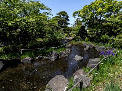 平成庭園