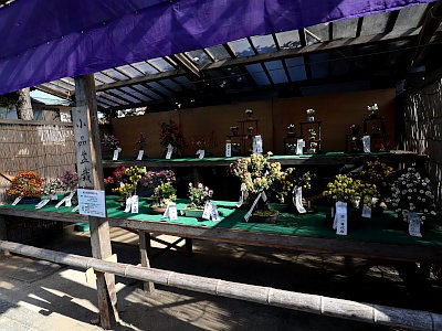 善養寺 影向菊花大会