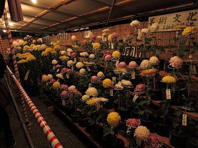 大国魂神社 酉の市