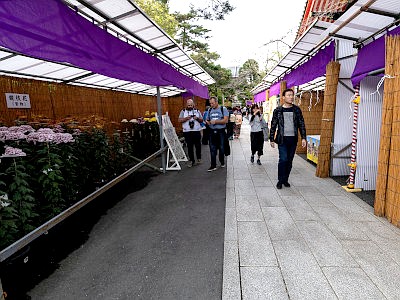 高幡不動尊（金剛寺）