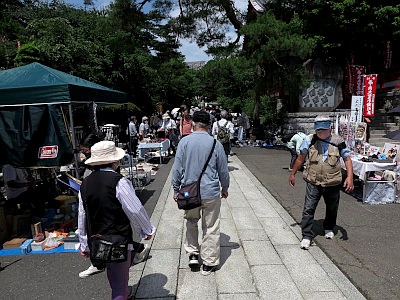 高幡不動尊 あじさいまつり