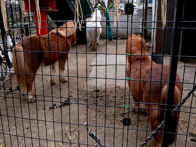 五方山熊野神社