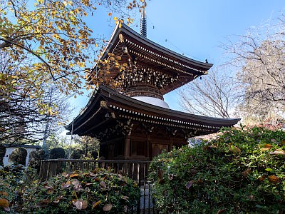 泉蔵院