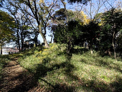 飛鳥山公園