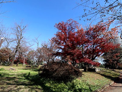 飛鳥山公園
