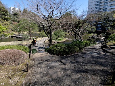 Kyu-Furukawa Gardens