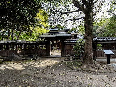 駒場公園