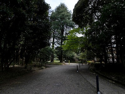 駒場公園