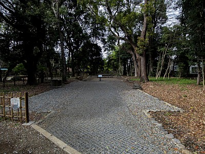 駒場公園
