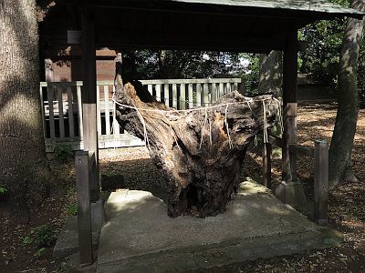 八雲氷川神社