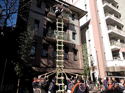 三田春日神社 梯子乗り