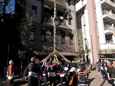 三田春日神社 梯子乗り