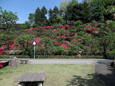 池上梅園