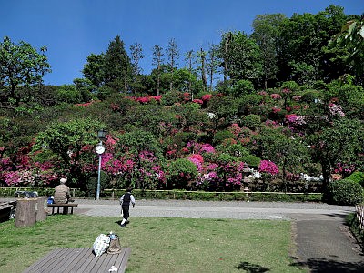 池上梅園