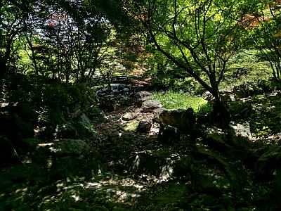 池上本門寺 松濤園