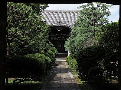 蓮光院
