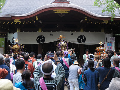 渋谷氷川神社 例大祭