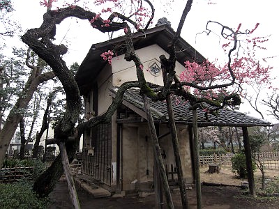 深沢二丁目緑地