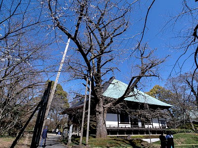 九品仏（浄真寺）