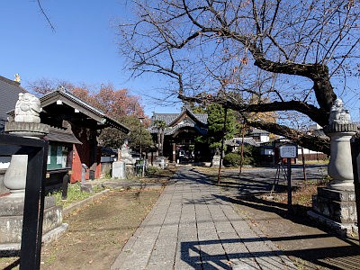世田谷観音寺
