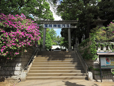 玉川神社