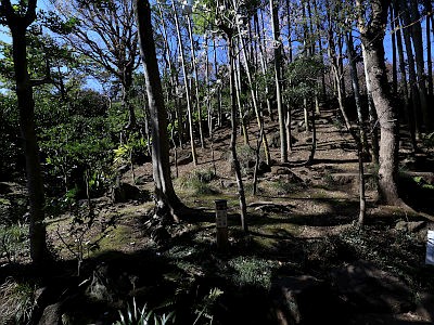 等々力渓谷 日本庭園