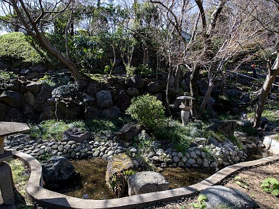 等々力渓谷 日本庭園