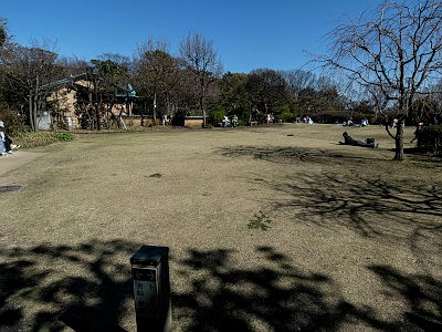 等々力渓谷 日本庭園