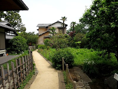 大原一丁目柳澤の杜市民緑地