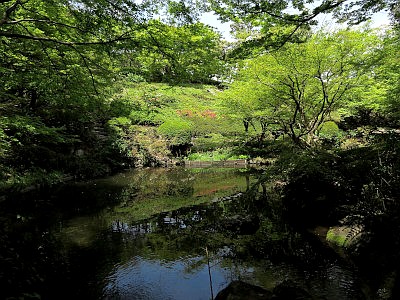 池田山公園