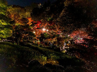 池田山公園 ライトアップ