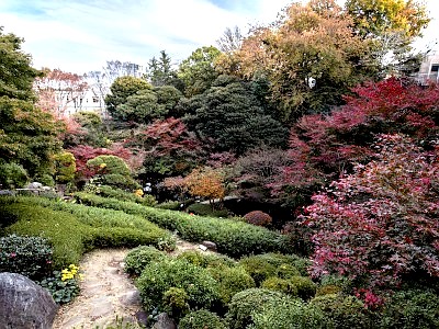 池田山公園 ライトアップ