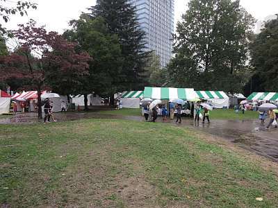 大新宿区まつり