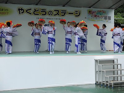 大新宿区まつり