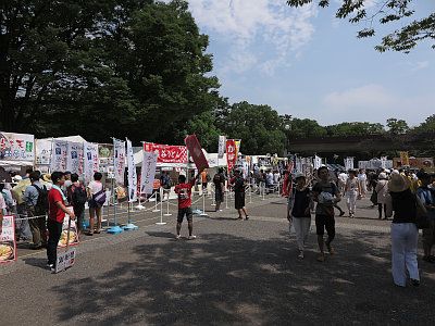 原宿表参道元氣祭 スーパーよさこい
