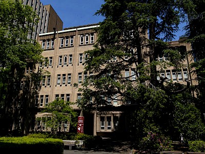 早稲田大学