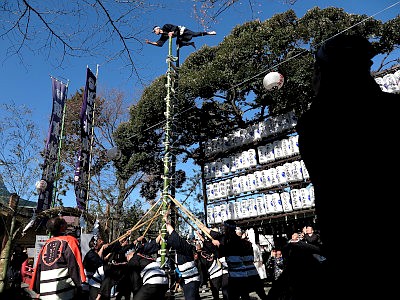四谷須賀神社 梯子乗り