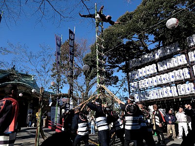 四谷須賀神社 梯子乗り