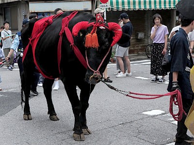 牛嶋神社 例大祭