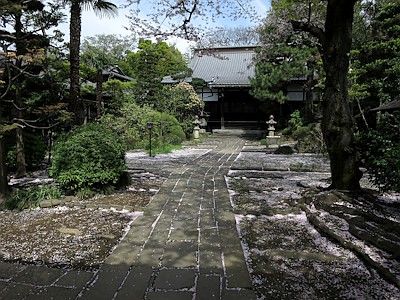 臨江寺