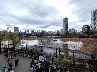 上野動物園