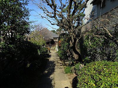 谷中の寺町