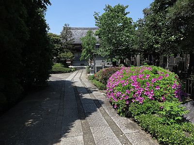 谷中の寺町